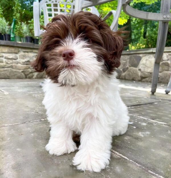 ELLA : RESERVED